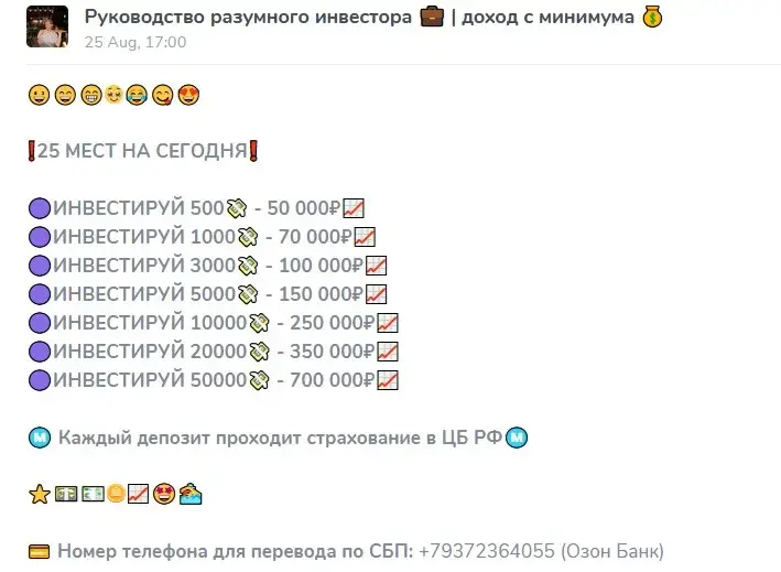 Руководство разумного инвестора Елизавета