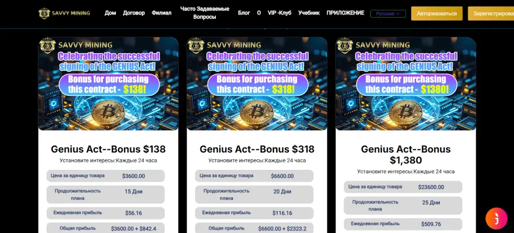 savvy mining