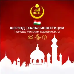 Шерзод Халал Инвестиции — отзывы и рейтинг