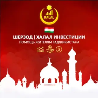 Шерзод Халал Инвестиции — отзывы и рейтинг