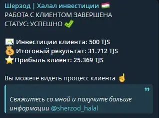 шерзод халал инвестиции телеграмм