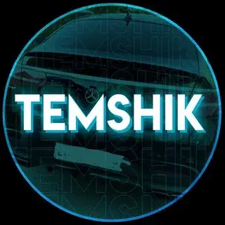 Temshik // Сливы Схем — отзывы и рейтинг