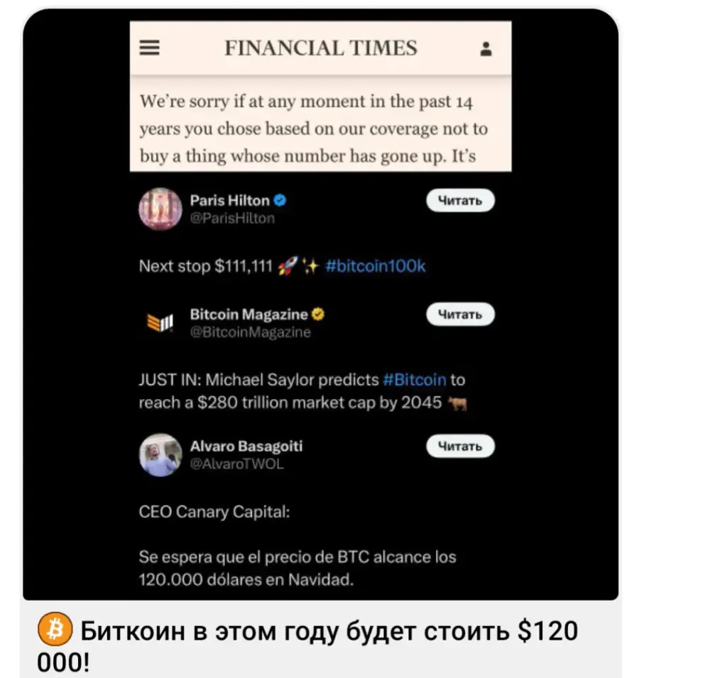 BTCmajor BTCmajor