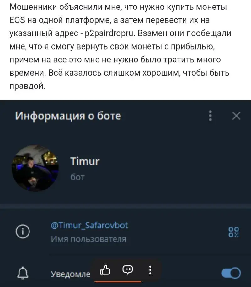 тимур сафаров бот