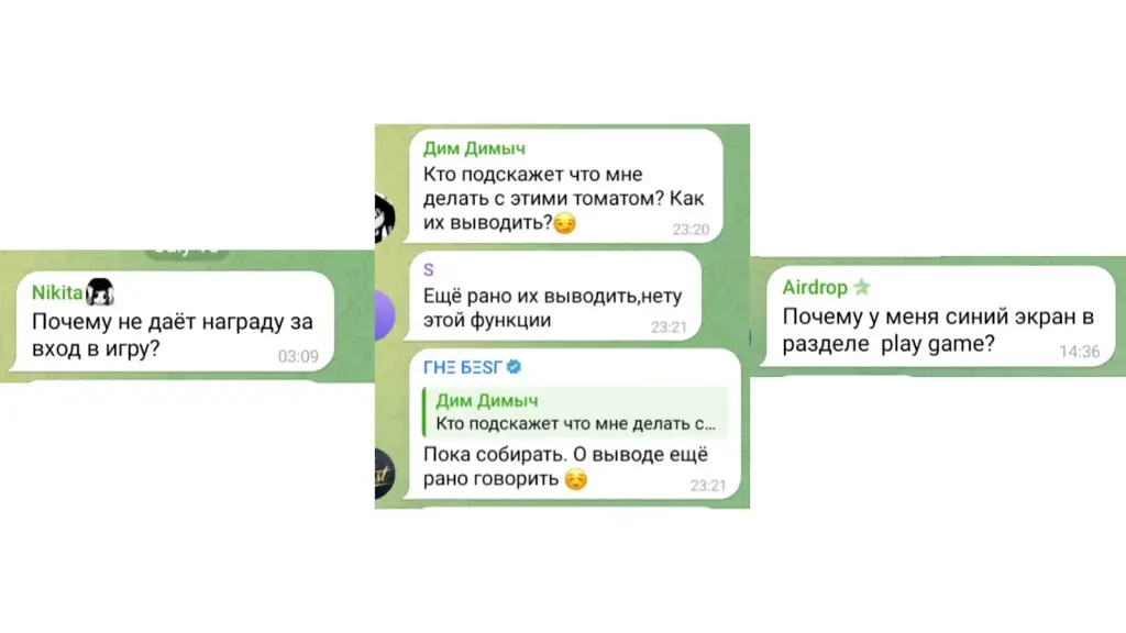 tomarket тапалка