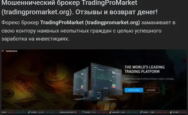 tradingpromarket org tradingpromarket org