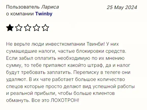 твинбай про инвестиции