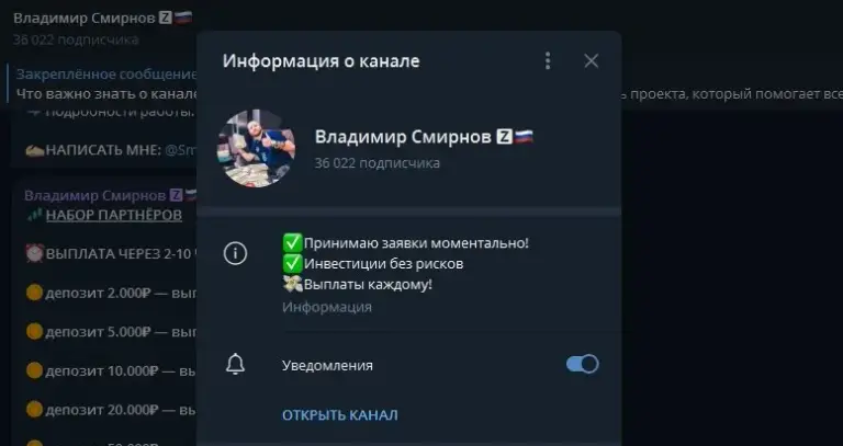 владимир смирнов инвестор владимир смирнов инвестор