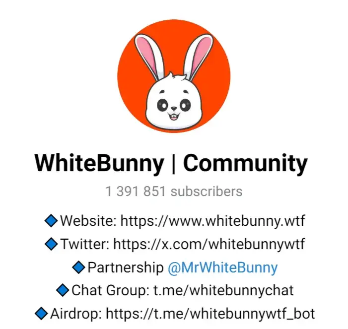 whitebunny игра whitebunny игра