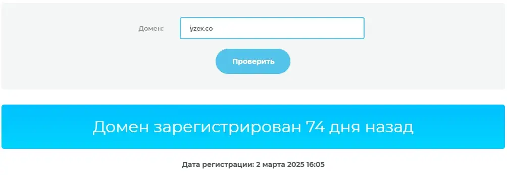 yzex yzex